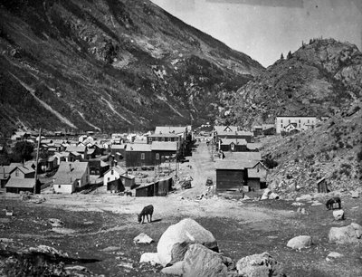 Silver Plume - vor dem Brand vom 5. November 1884, ca. 1880-84 von American Photographer